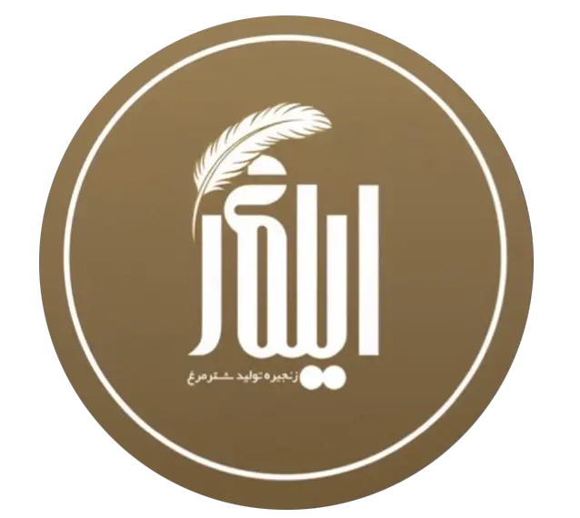 گردگیر پر سرگرد شترمرغ با دسته چوبی مدل D123