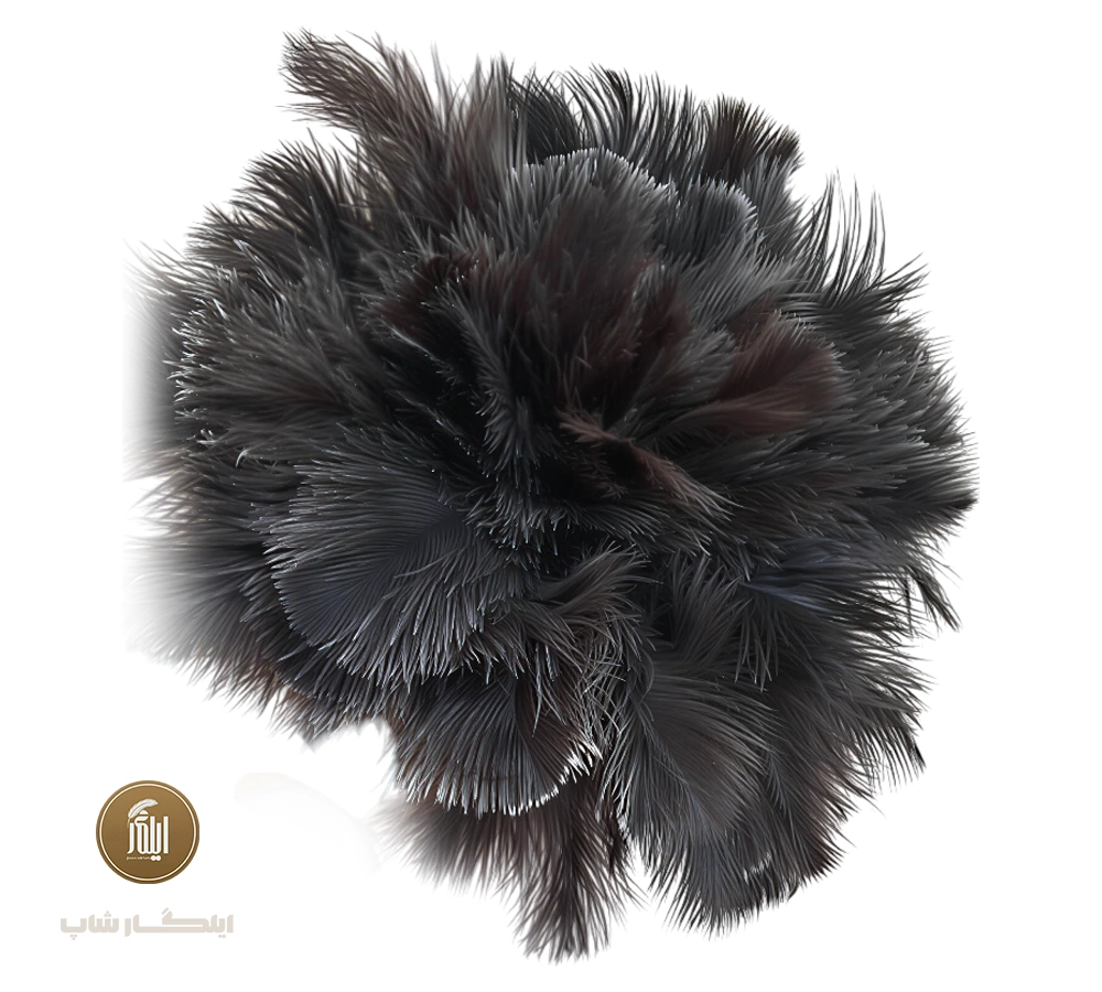 گردگیر پر سرگرد شترمرغ با دسته چوبی مدل D123